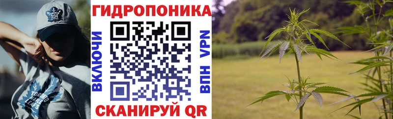 Купить где  Юрьевец  Канабис конопля 